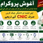 Aghosh Program Online Check Punjab by CNIC Login 2026