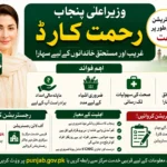 CM Punjab Rehmat Card Registration Process 2026